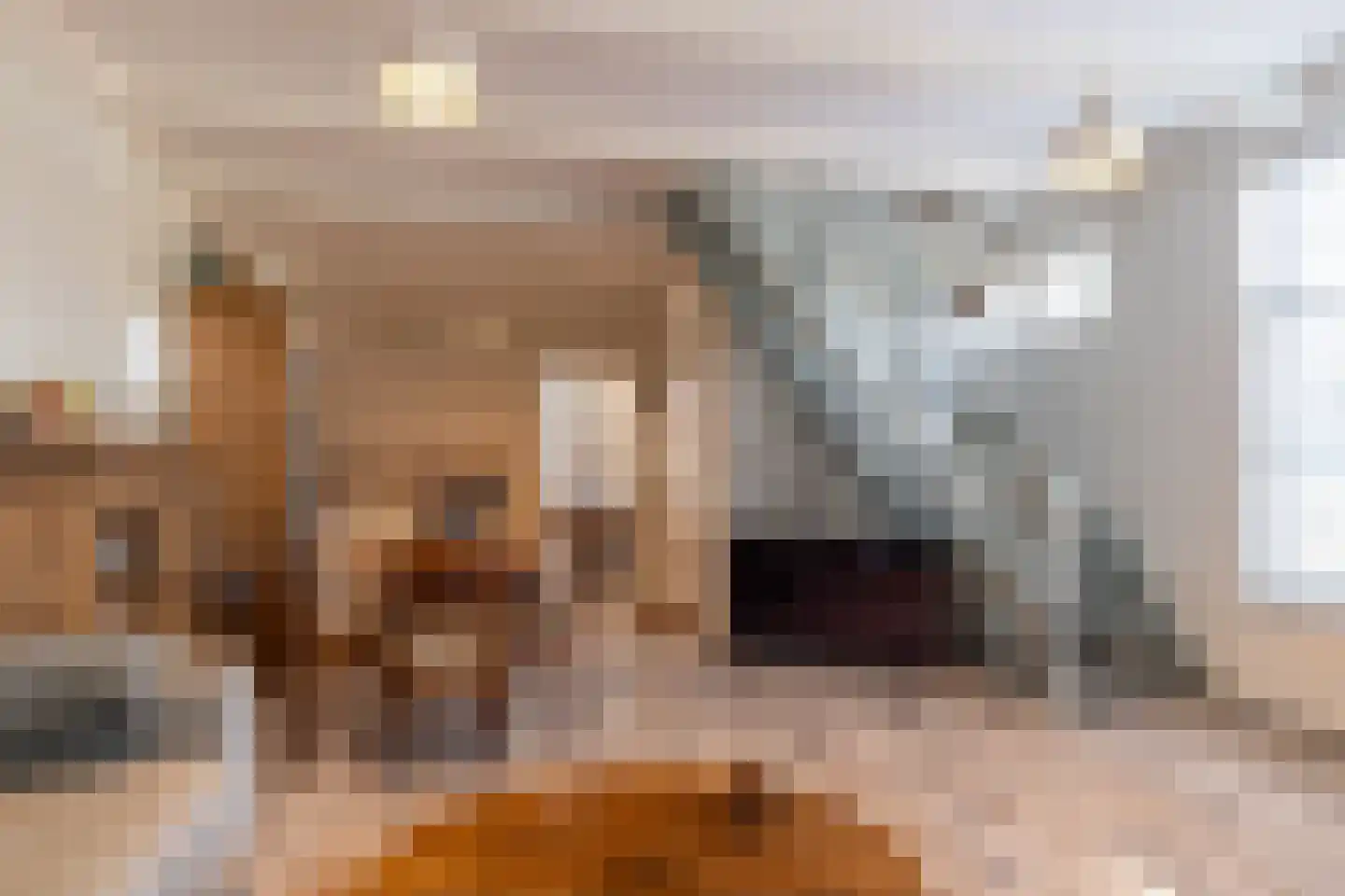 Erasmusstraat 1 A Balk thumbnail 11