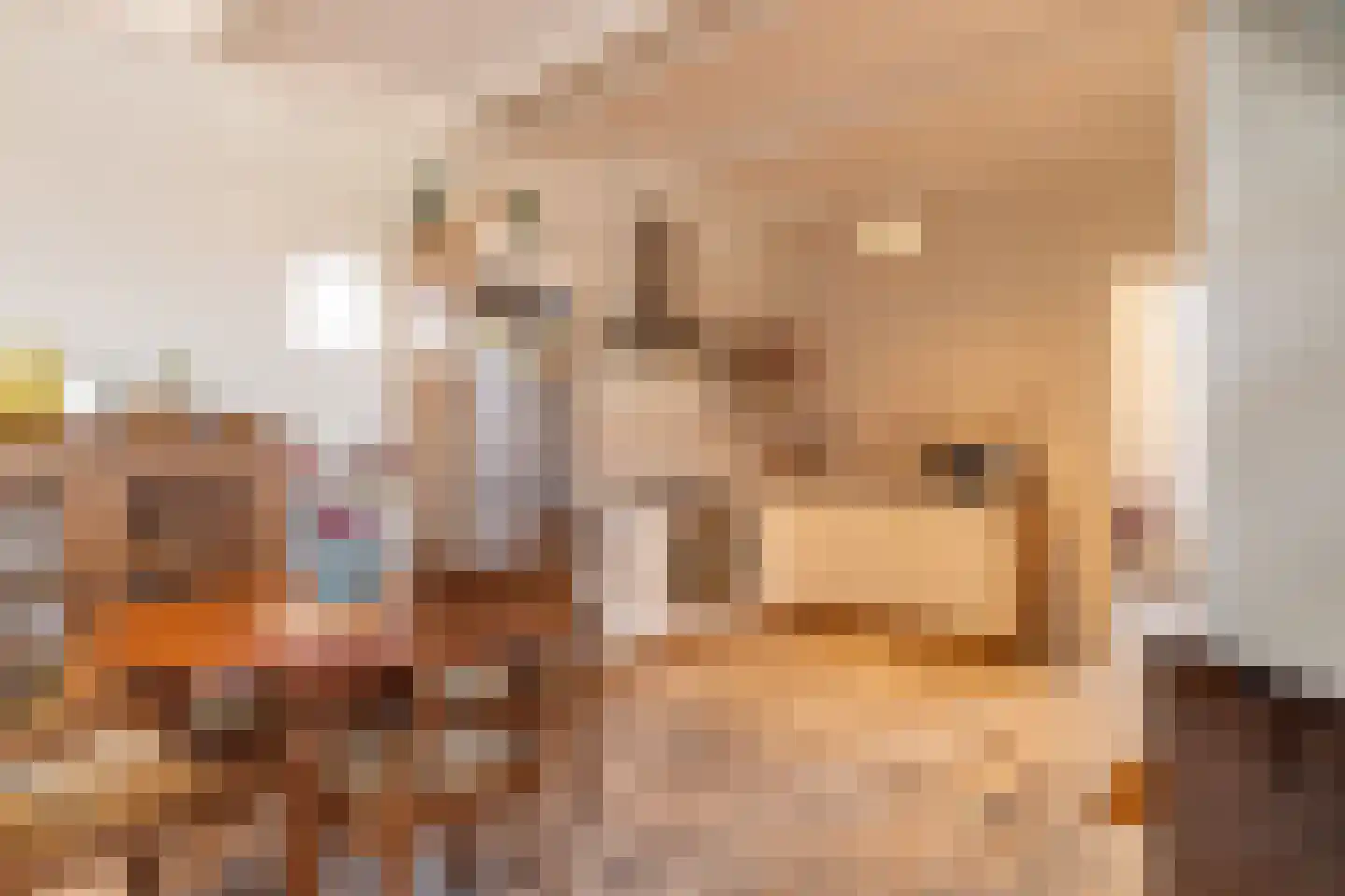Erasmusstraat 1 A Balk thumbnail 12