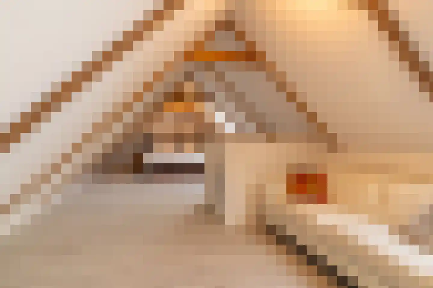 Erasmusstraat 1 A Balk thumbnail 17