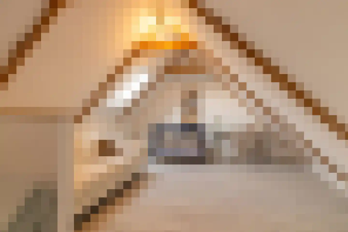 Erasmusstraat 1 A Balk thumbnail 19