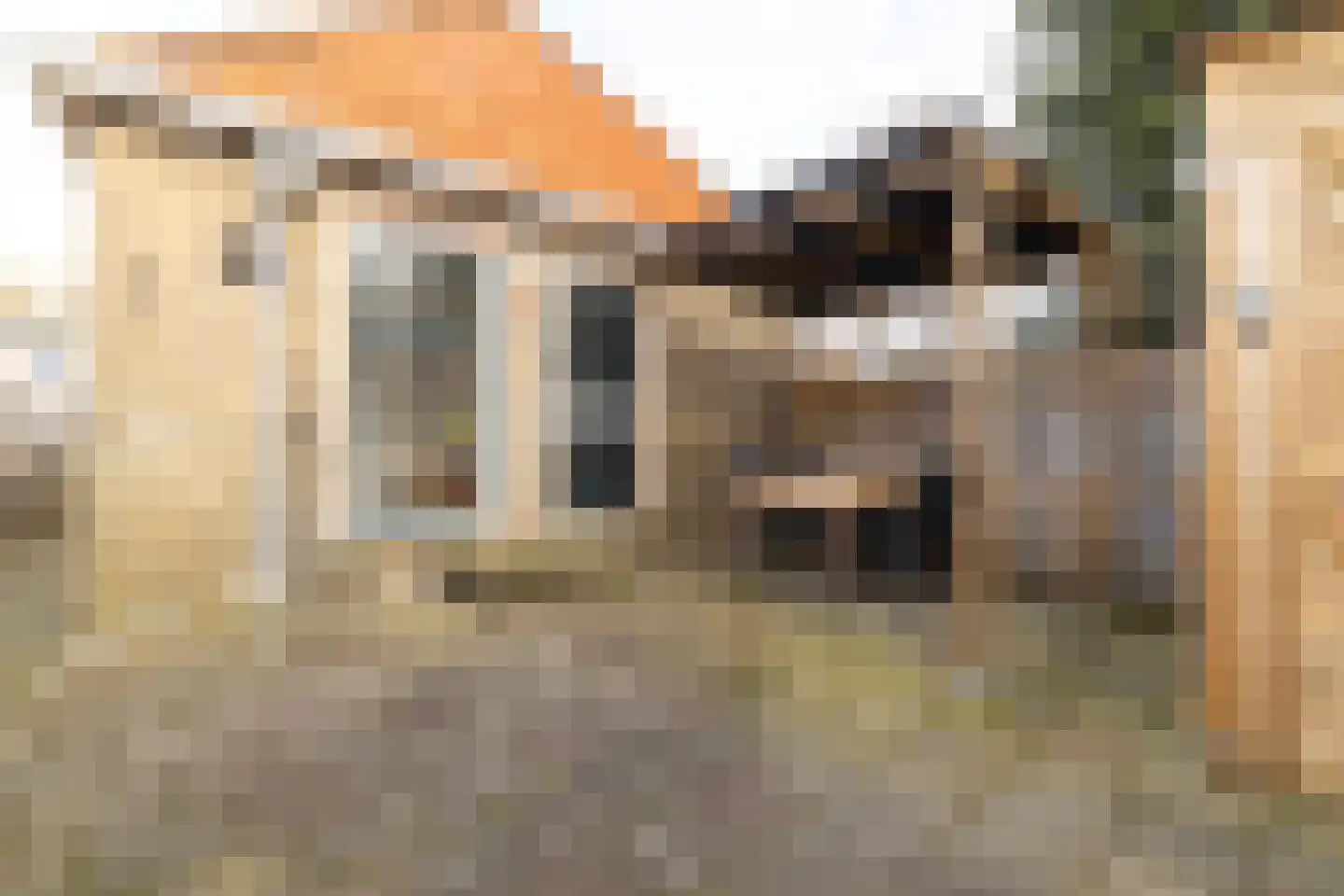 Erasmusstraat 1 A Balk thumbnail 20