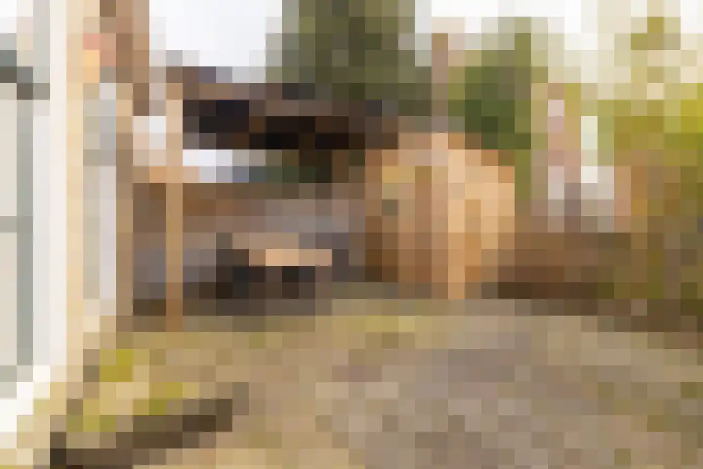 Erasmusstraat 1 A Balk thumbnail 21