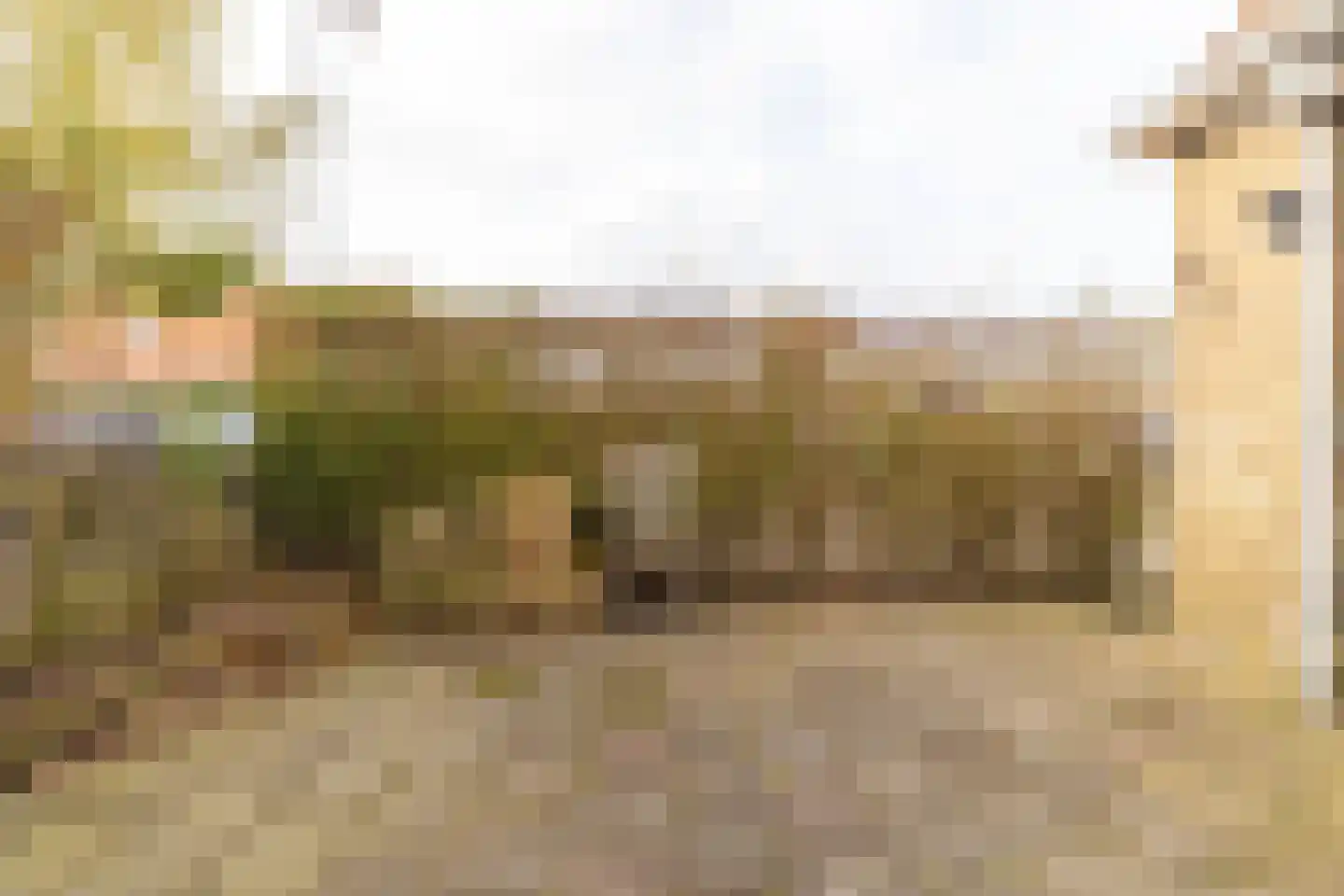 Erasmusstraat 1 A Balk thumbnail 22