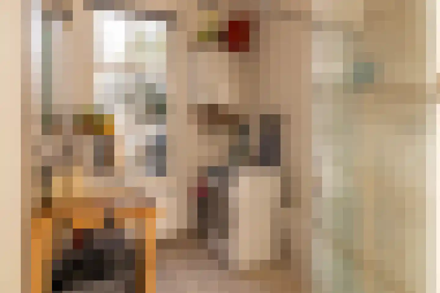 Erasmusstraat 1 A Balk thumbnail 8
