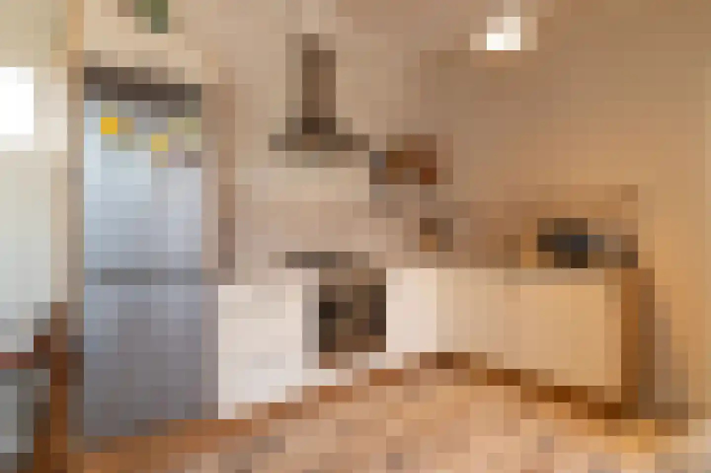 Erasmusstraat 1 A Balk thumbnail 9