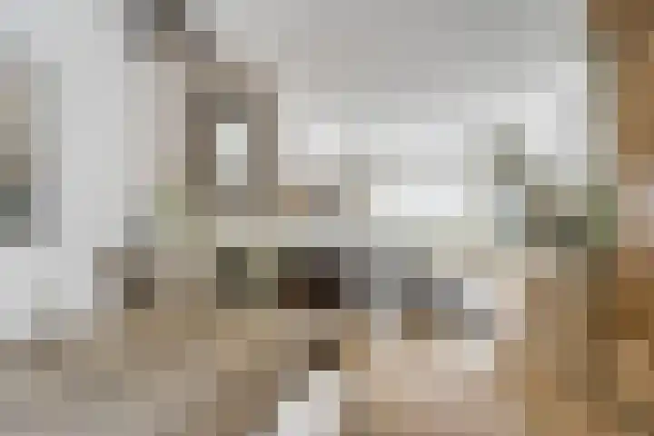 Erasmusstraat 11 Voorschoten thumbnail 10