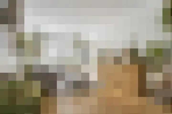 Erasmusstraat 11 Voorschoten thumbnail 12