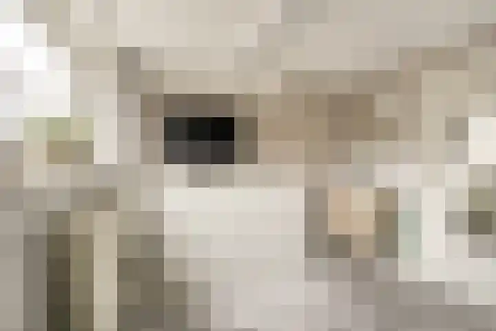 Erasmusstraat 11 Voorschoten thumbnail 24