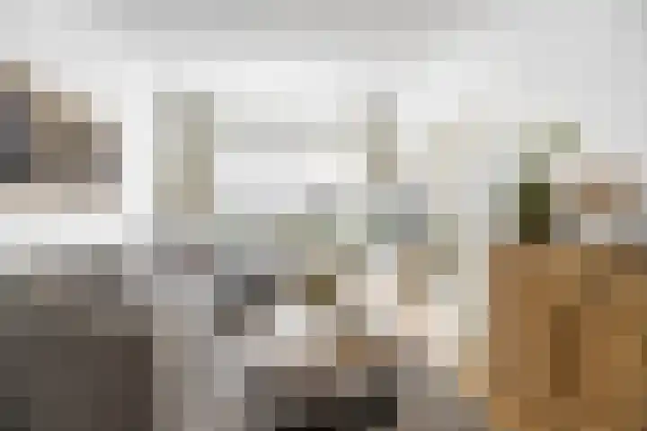 Erasmusstraat 11 Voorschoten thumbnail 7