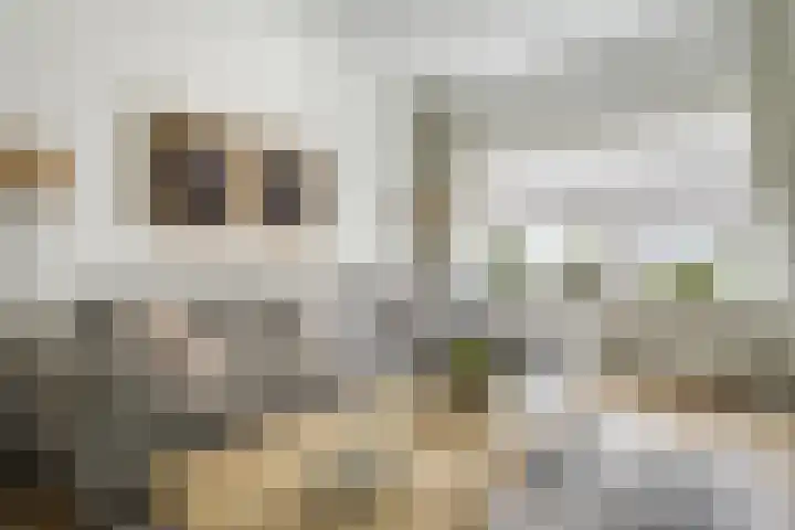 Erasmusstraat 11 Voorschoten thumbnail 8