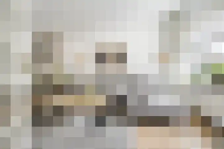 Erasmusstraat 11 Voorschoten thumbnail 9
