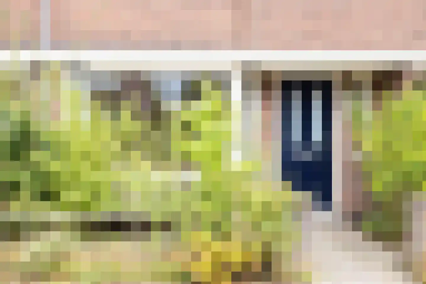 Erasmusstraat 14 Deventer thumbnail 29