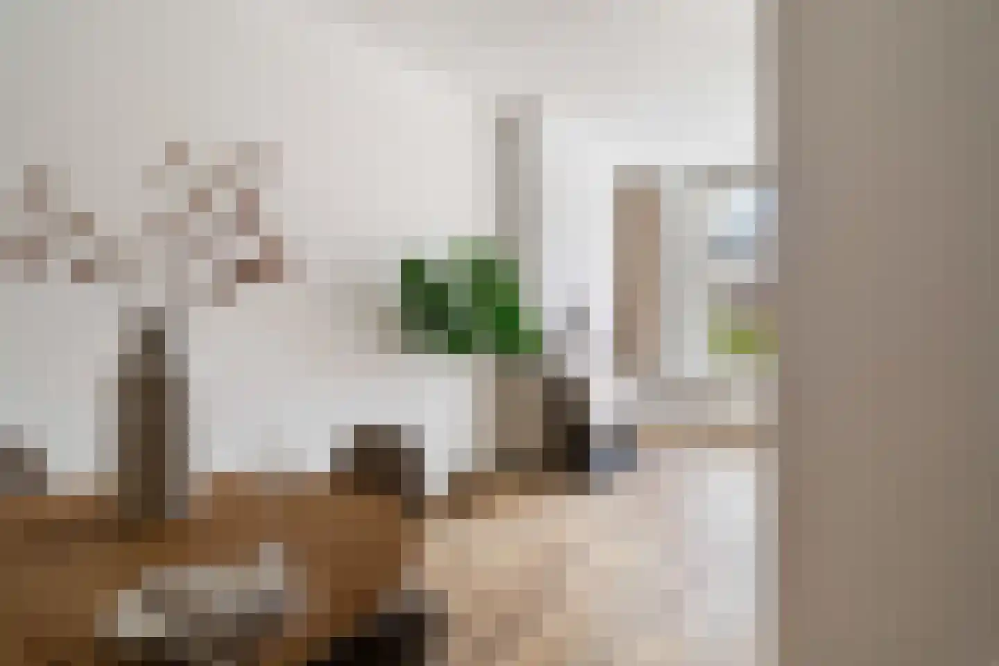 Erasmusstraat 203 Rotterdam thumbnail 13