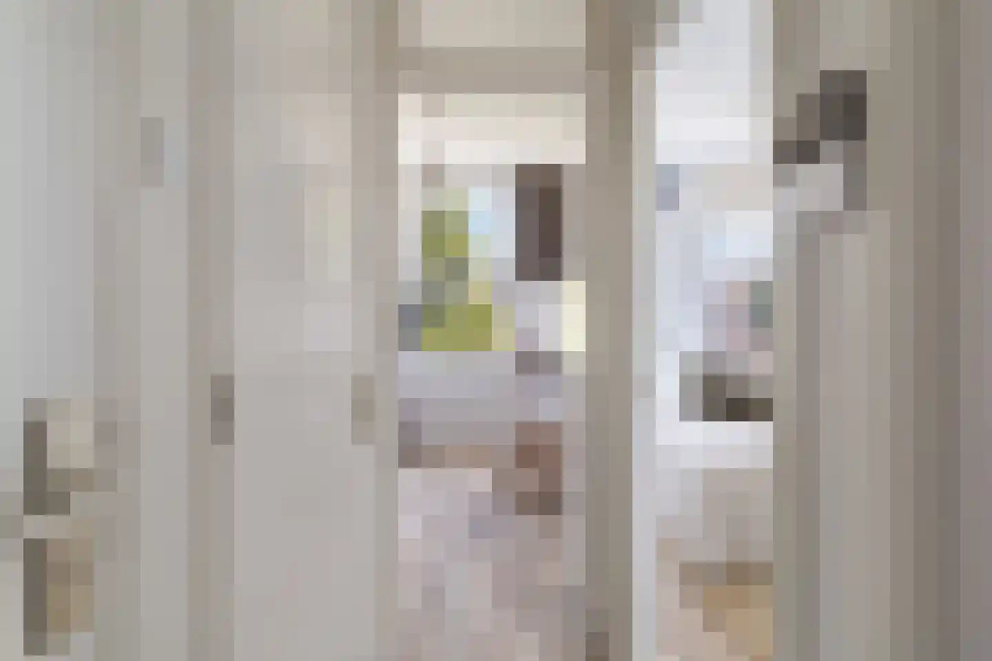 Erasmusstraat 203 Rotterdam thumbnail 15