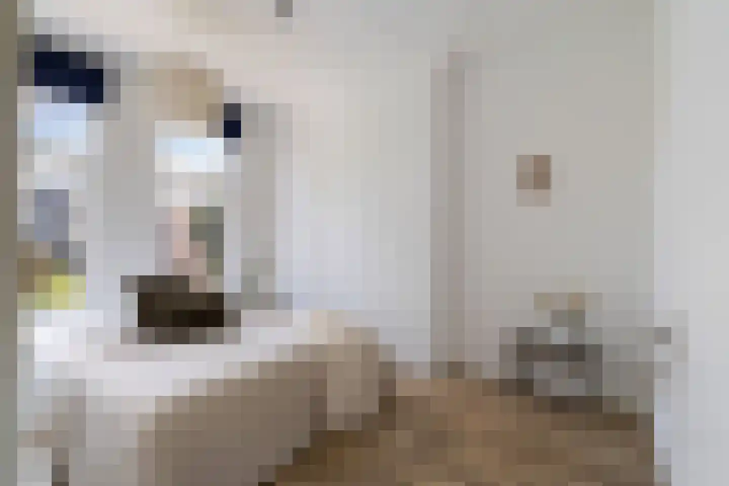 Erasmusstraat 203 Rotterdam thumbnail 17