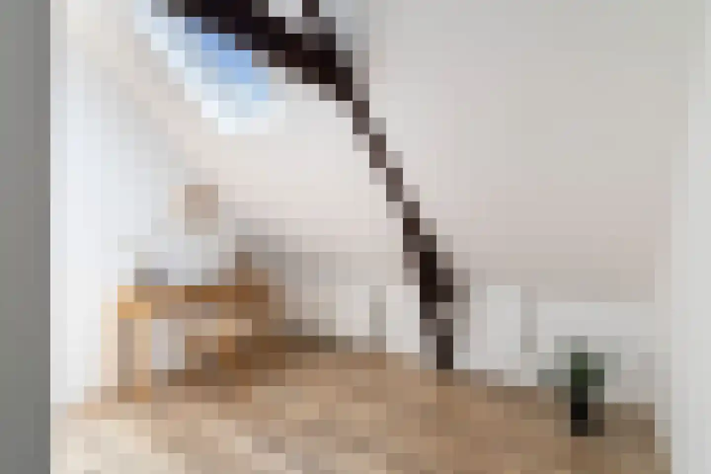 Erasmusstraat 203 Rotterdam thumbnail 26