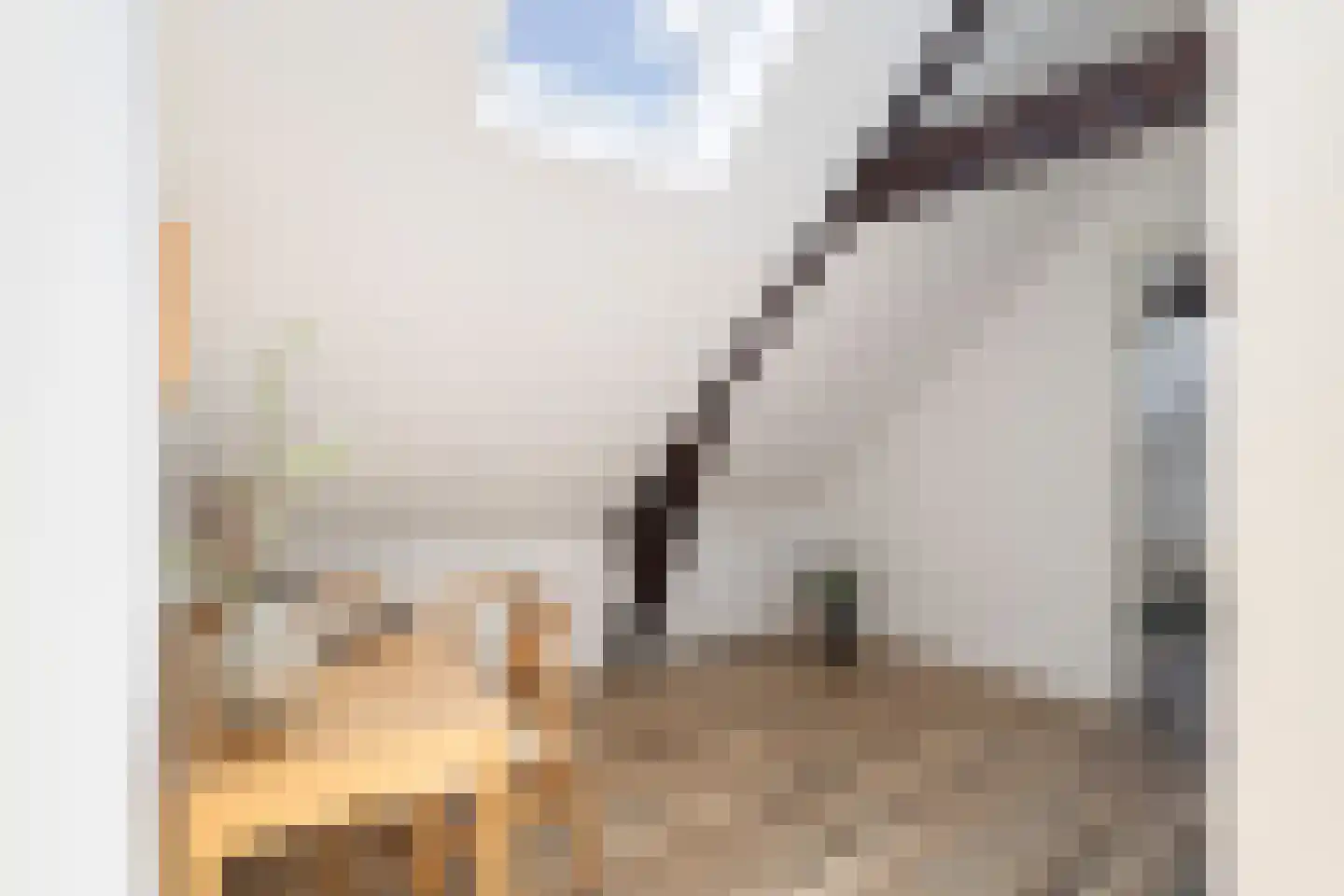 Erasmusstraat 203 Rotterdam thumbnail 28