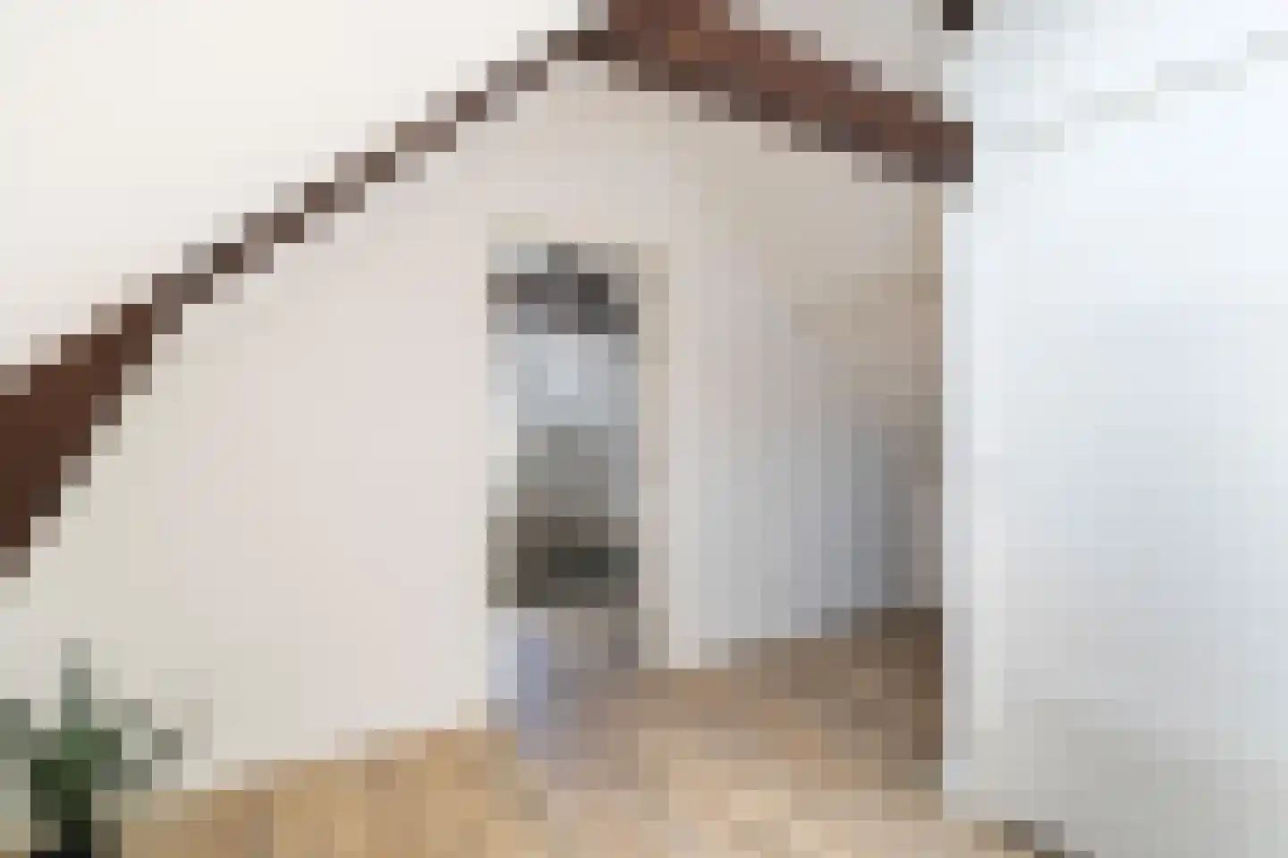 Erasmusstraat 203 Rotterdam thumbnail 29