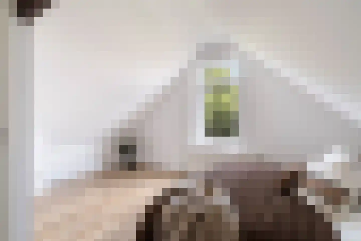 Erasmusstraat 203 Rotterdam thumbnail 30