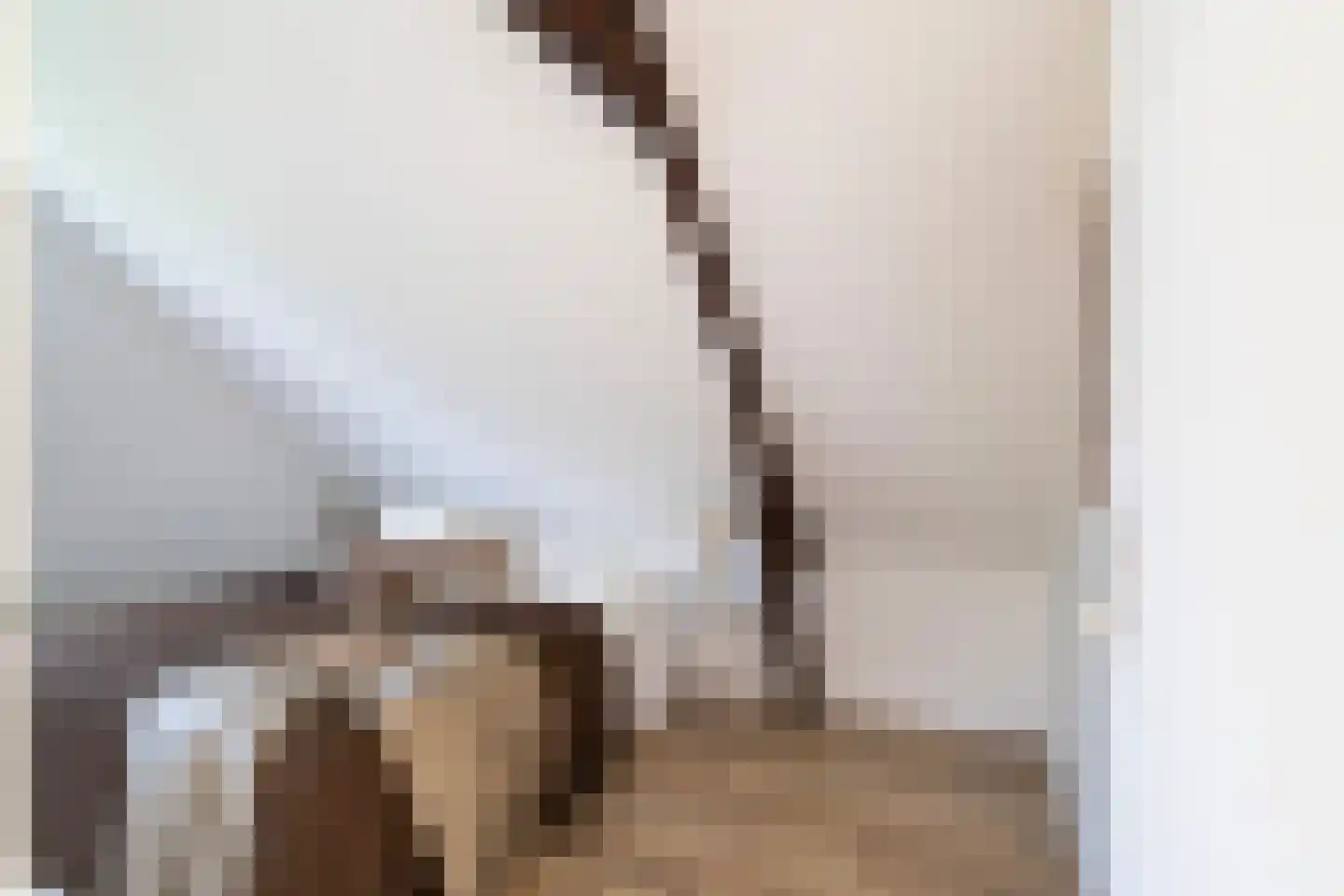 Erasmusstraat 203 Rotterdam thumbnail 31