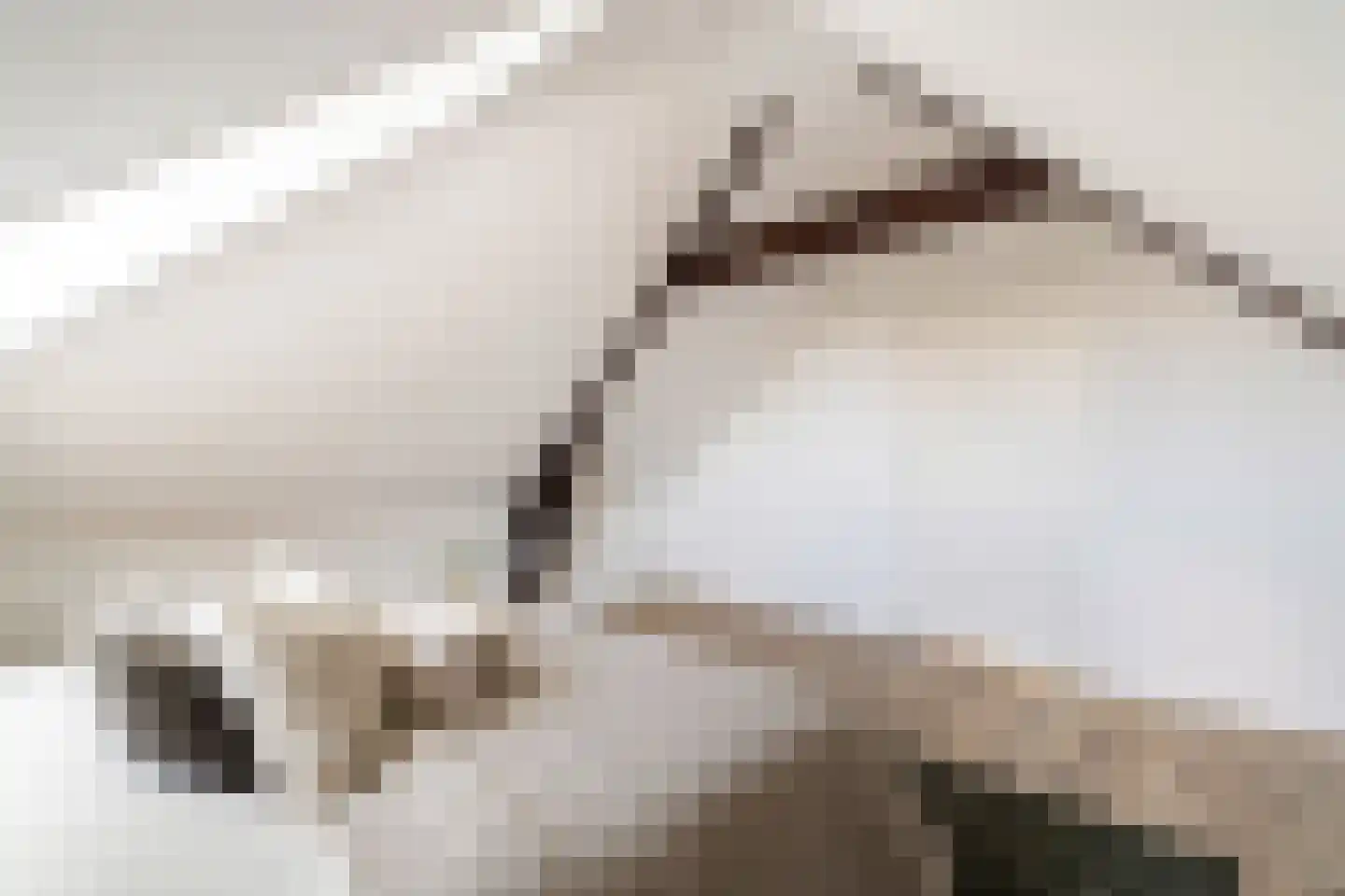 Erasmusstraat 203 Rotterdam thumbnail 36
