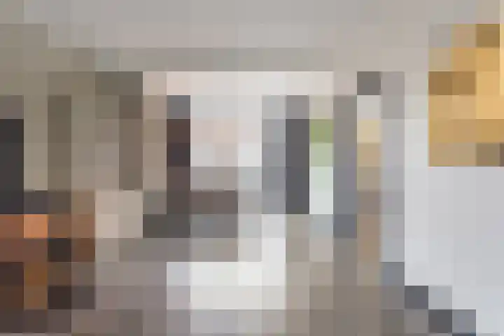 Erasmusstraat 21 Harderwijk thumbnail 12