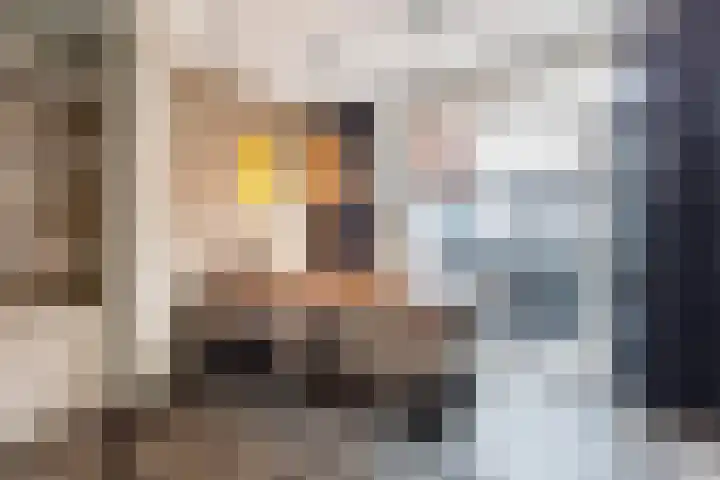 Erasmusstraat 21 Harderwijk thumbnail 15