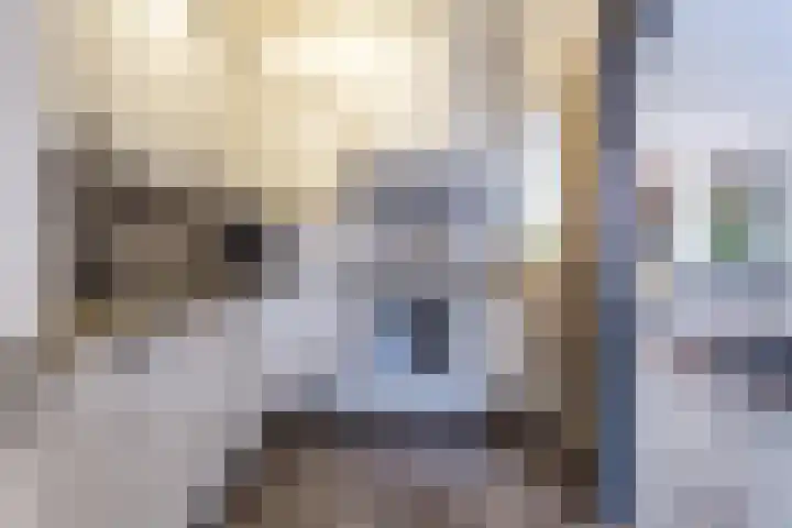 Erasmusstraat 21 Harderwijk thumbnail 16