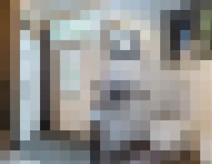 Erasmusstraat 21 Harderwijk thumbnail 22