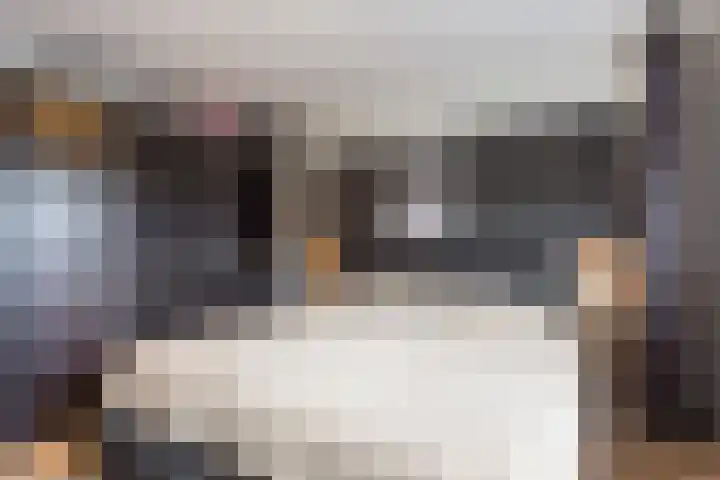 Erasmusstraat 21 Harderwijk thumbnail 26