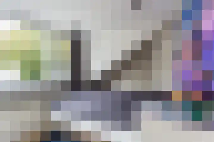 Erasmusstraat 21 Harderwijk thumbnail 33