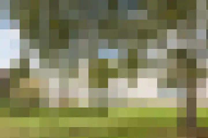 Erasmusstraat 21 Harderwijk thumbnail 46