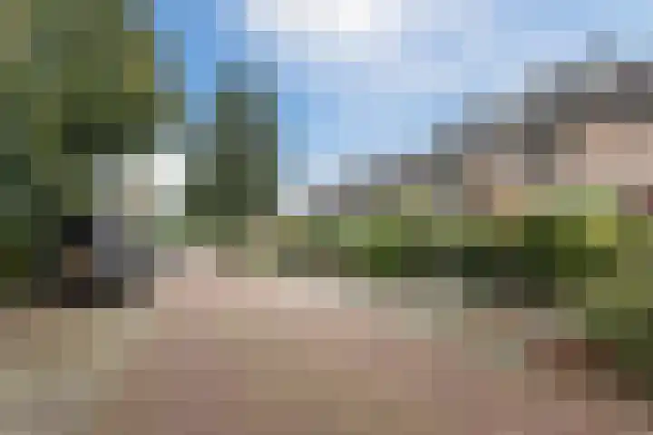 Erasmusstraat 21 Harderwijk thumbnail 5