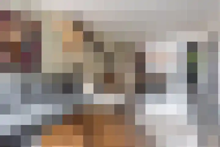 Erasmusstraat 21 Harderwijk thumbnail 7