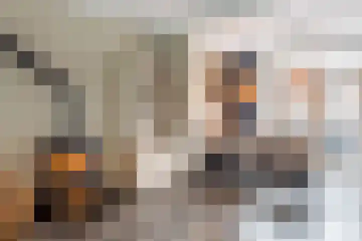 Erasmusstraat 21 Harderwijk thumbnail 9