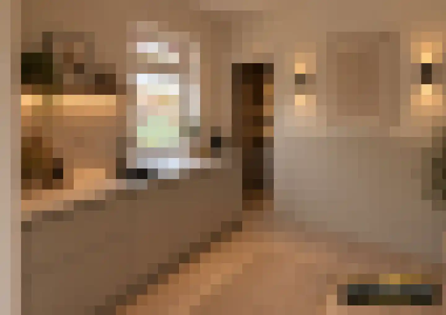 Erasmusstraat 39 Deventer thumbnail 7