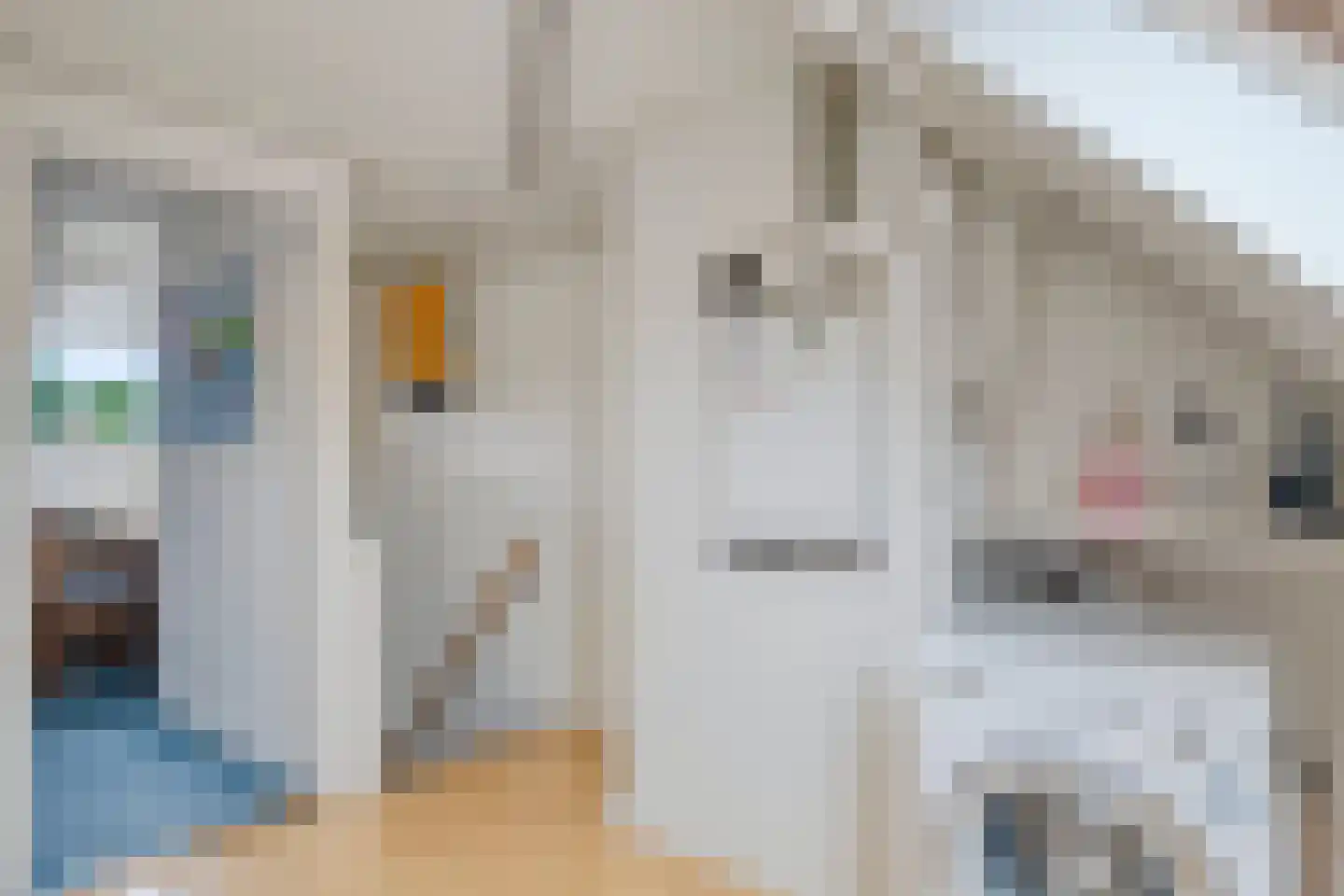 Erasmusstraat 4 Deventer thumbnail 30