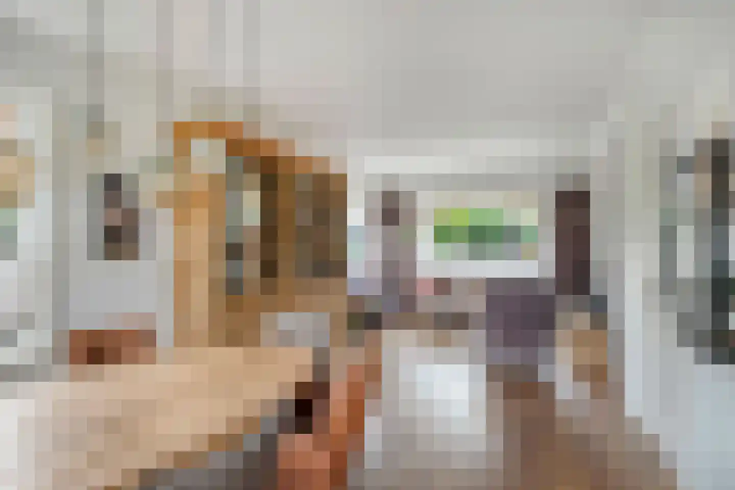 Erasmusstraat 4 Deventer thumbnail 4
