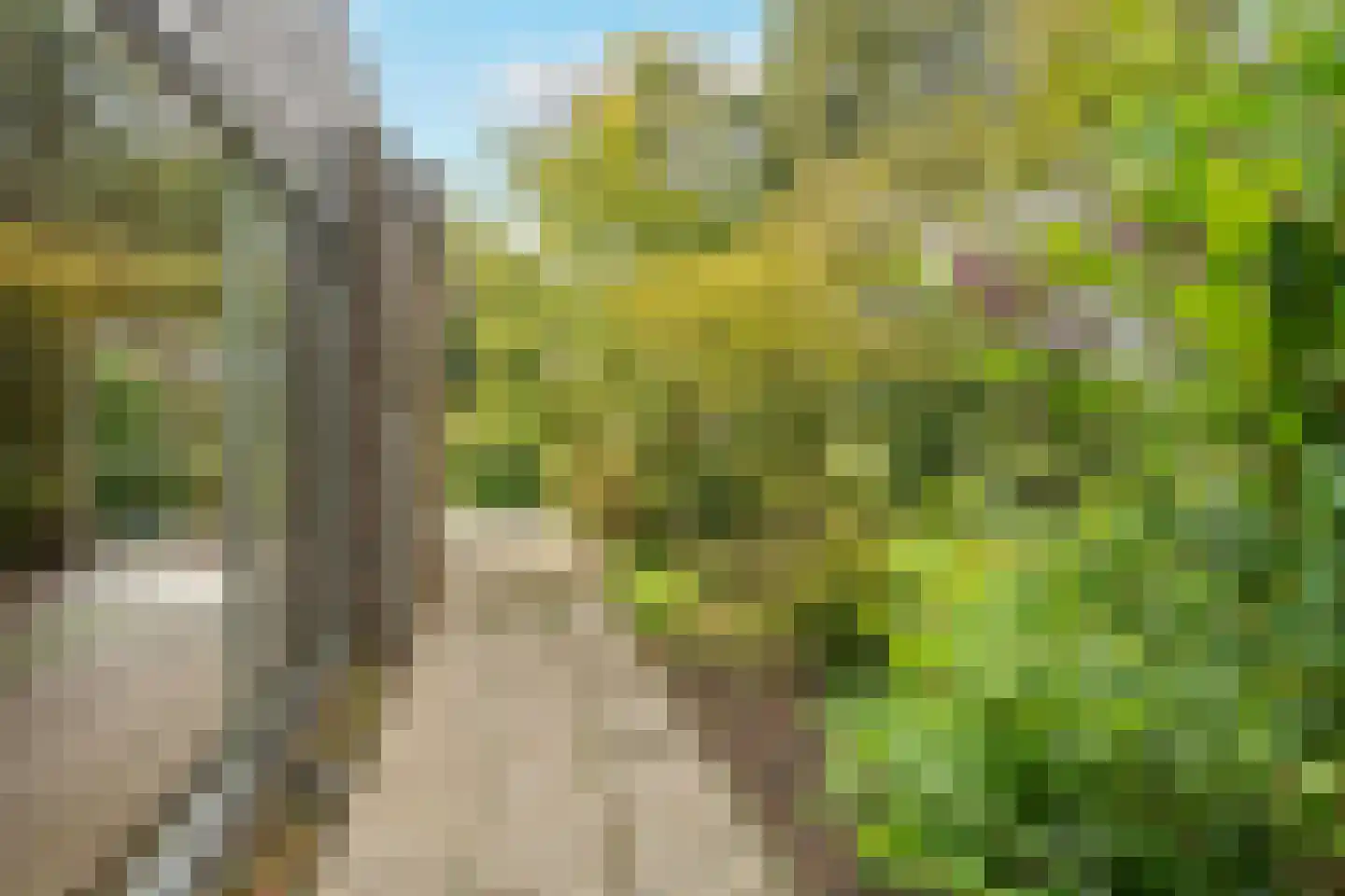Erasmusstraat 4 Krommenie thumbnail 17