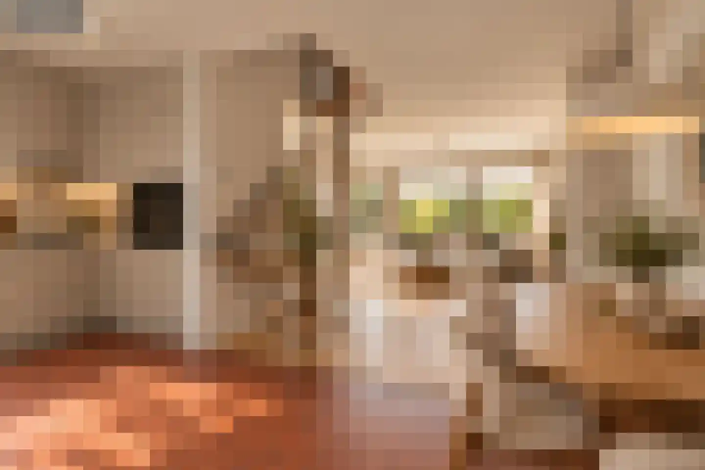 Erasmusstraat 4 Krommenie thumbnail 26