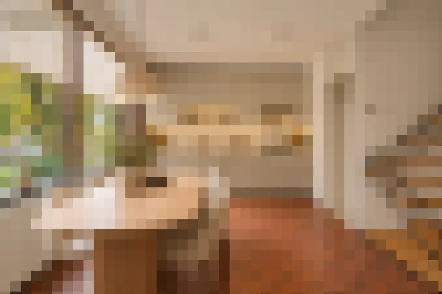 Erasmusstraat 4 Krommenie thumbnail 28