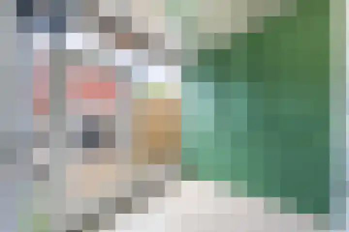 Erasmusstraat 7 Voorschoten thumbnail 15