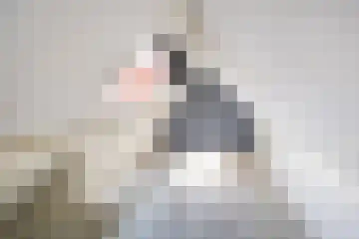 Erasmusstraat 7 Voorschoten thumbnail 27