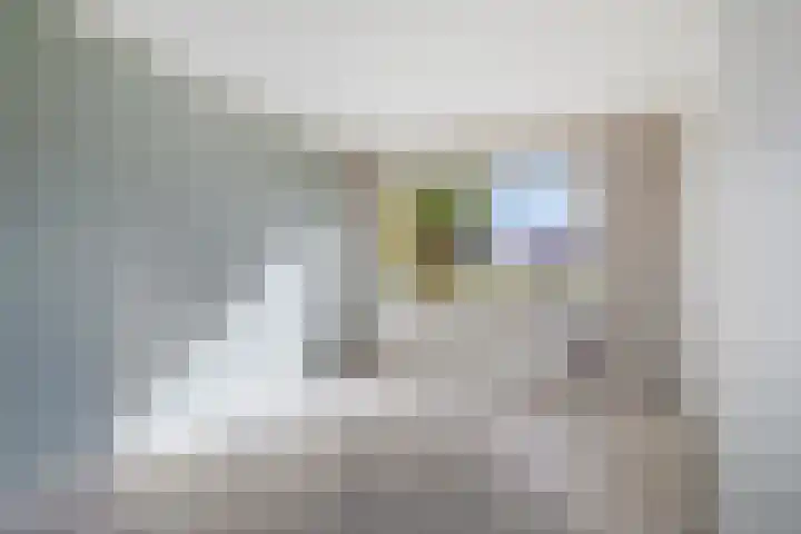 Erasmusstraat 75 Oude Pekela thumbnail 9