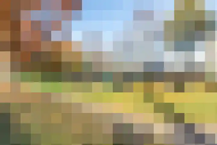 Erasmusstraat 88 Amersfoort thumbnail 36