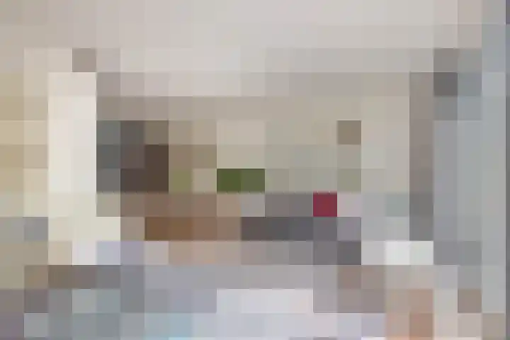 Erasmustuin 14 Capelle aan den IJssel thumbnail 12