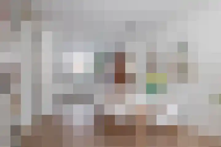 Erasmustuin 14 Capelle aan den IJssel thumbnail 13