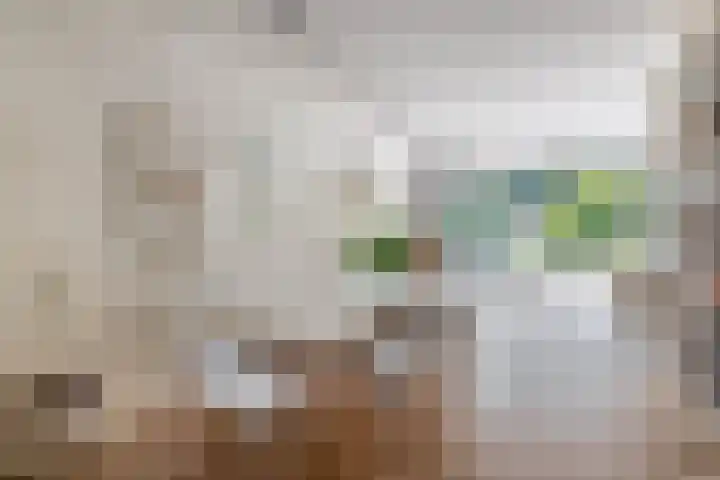 Erasmustuin 14 Capelle aan den IJssel thumbnail 14