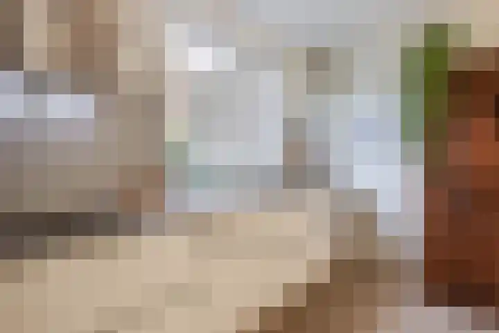 Erasmustuin 14 Capelle aan den IJssel thumbnail 15