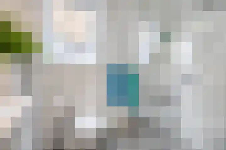 Erasmustuin 14 Capelle aan den IJssel thumbnail 19